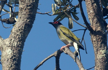 IMG_6654a.jpg